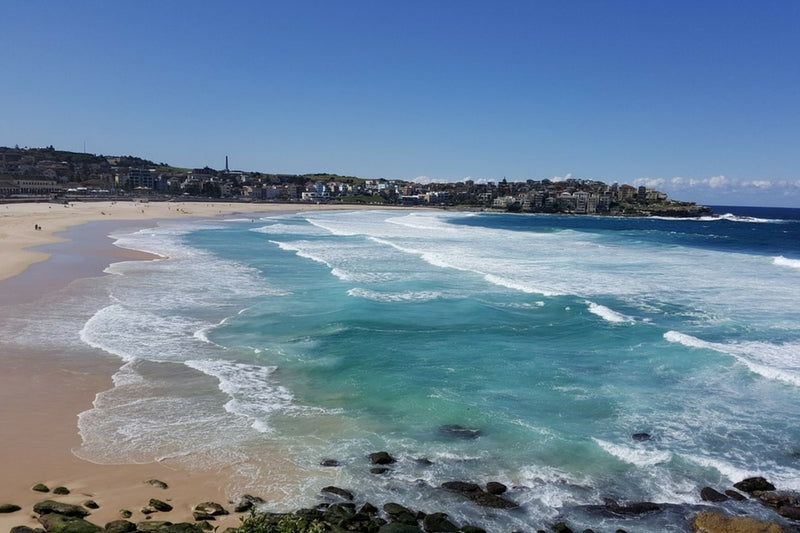 Family Friendly Beaches in Sydney